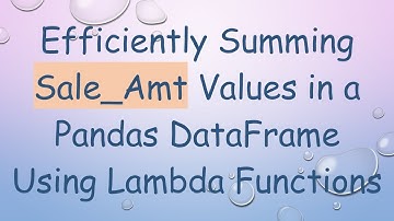 Efficiently Summing Sale_Amt Values in a Pandas DataFrame Using Lambda Functions