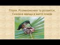 Біологія. Тварини. Птахи. Розмноження та розвиток, Міграція. Перелітні(кочуючі) та осілі птахи.