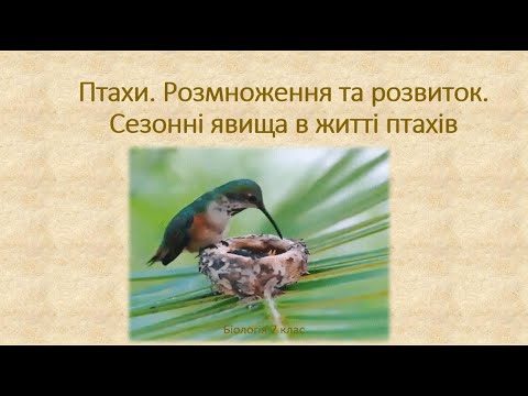 Біологія 7 клас. Птахи. Розмноження та розвиток, Міграція. Перелітні(кочуючі) та осілі птахи.