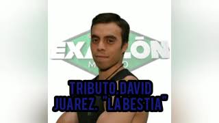 Tributo a David Juárez 