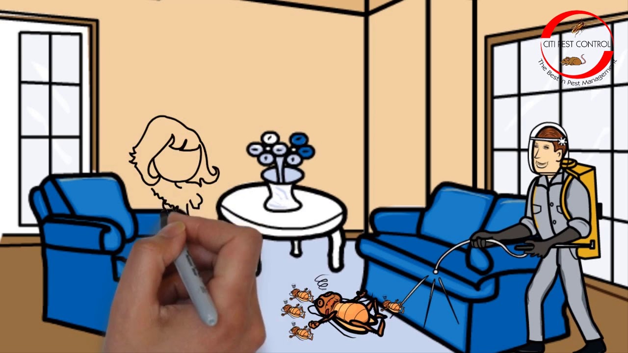 Pest Control Whiteboard Animated Promo Video 3
