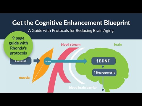 Get the Free 9-Page BDNF Protocol Guide: The Cognitive Enhancement Blueprint