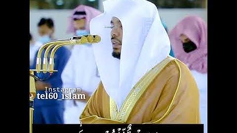 وننزل من القرآن ما هو شفاءُ ورحمة تلاوة هادئة الشيخ #ياسر_الدوسري من المسجد #الحرم