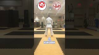 HEIAN Godan point of view follow along tutorial. TNT 5th Kyu  Blue Belt Form Osu.