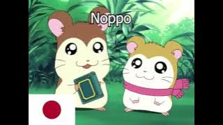 Hamtaro Japanese & English Dub Comparison