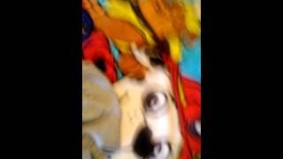 My Brothers Underwear Drawer