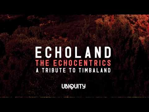 The Echocentrics — The Echocentrics - "Raise Up" (Echoland: A Tribute To Timbaland)