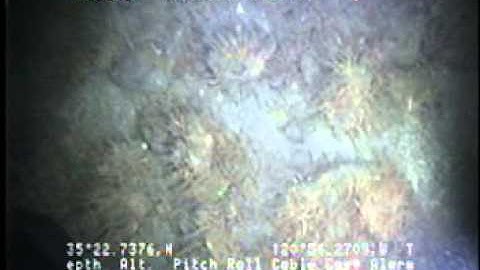 C0212SC_Tape33v.noaudio.mpg