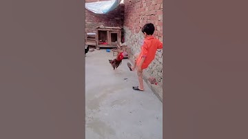 Murga fight🔥ll MURGA MERA BHAI KA SATH LARAI KAR RAHA HAll#Murga #murgafight #fighter #viralshort