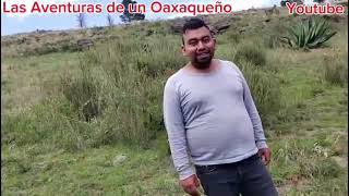 Desde este cerro les mostramos como se ve parte de la ciudad de toluca