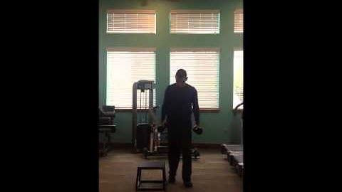 Total Body - Multiplanar Step Up To Balance, Curl, Press