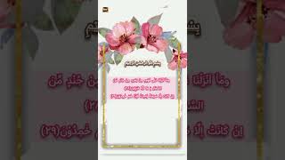 Ayat No 2829 Memorize Surah Yaseen  Quran Ka Dil   10th January