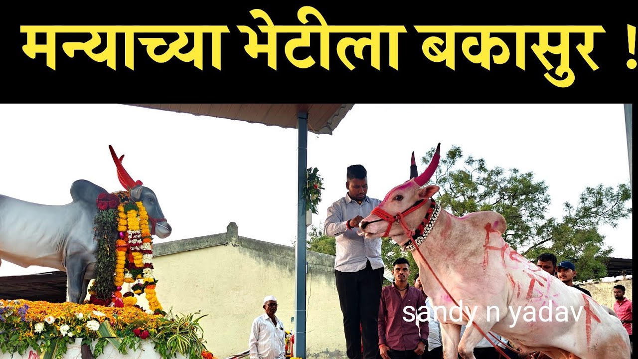 बकासुर ची सांत्वन पर भेट |bakasur and manya - YouTube