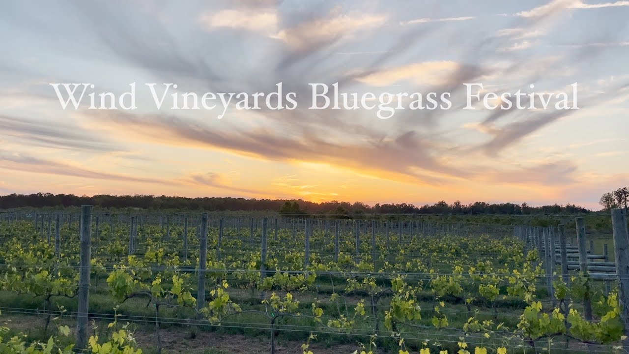 Reviving Roots in Tappahannock The Inaugural Wind Vineyards Bluegrass