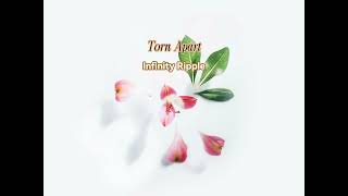 Torn Apart by Infinity Ripple