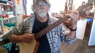 Wood Top 5 String Octagon Banjo