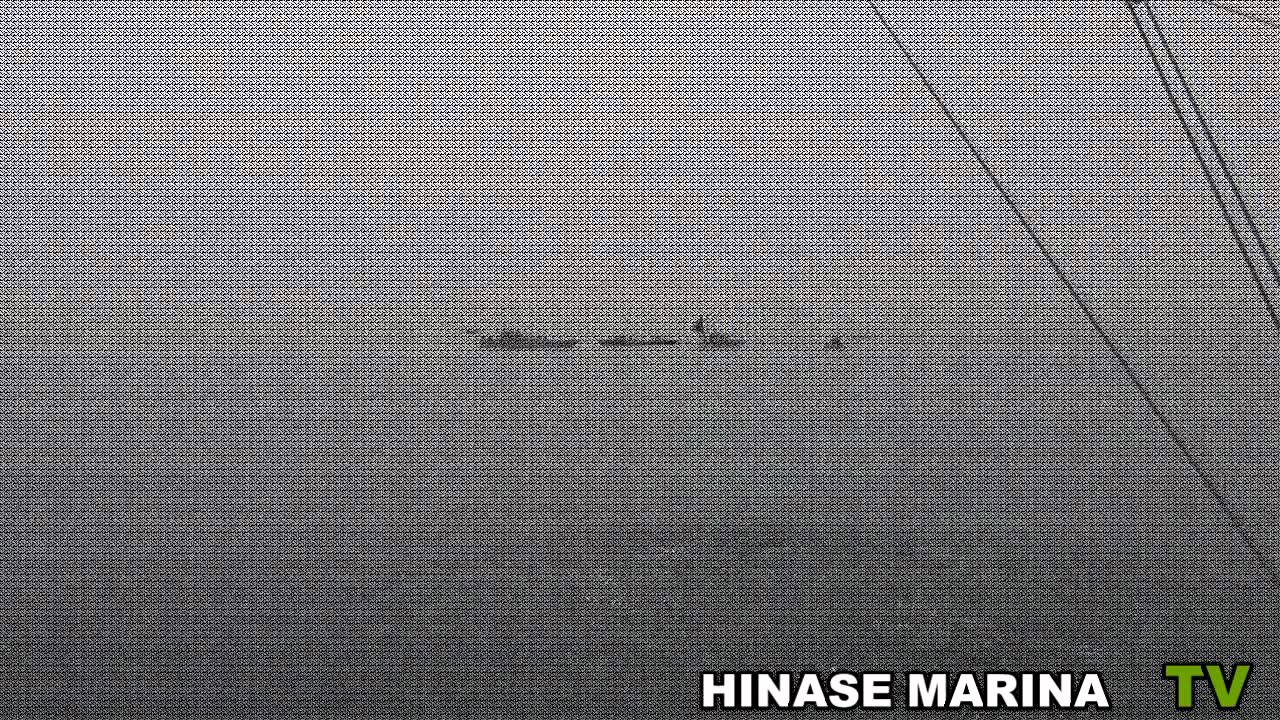 鯛カブラvs鯛サビキ Wmv Youtube