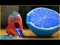 Too Sour?! 🍋😖 Larva Lemon - Funny Larva Cartoon 2026