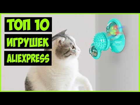 10 КЛАССНЫХ ИГРУШЕК ДЛЯ КОШКИ ! ИГРУШКИ ДЛЯ ЖИВОТНЫХ !!!