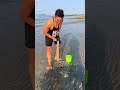 Attraper des crevettes #hoangdidao