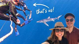I Tried Swimming With Sharks in the Open Ocean 🦈