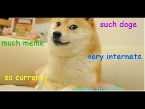 Doge Adventures Roblox Music Youtube - killer doge roblox