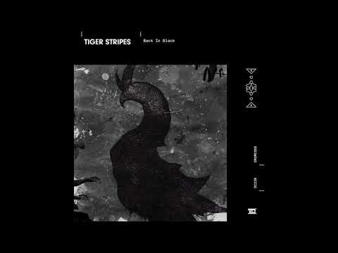 Tiger Stripes - Back in Black mp3 indir Tiger Stripes - Back in Black mp3 indir