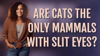 Are cats the only mammals with slit eyes?