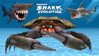 DARKHAMMER vs Giant CRAB in Hungry Shark Evolution