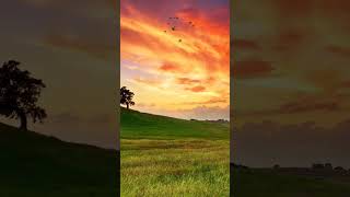 Pemandangan Awan Yang Indahshorts short viral