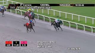 Vidéo de la course PMU PRIX DOG VALIENTE (2020)