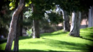 Canon 5D Mark Ii Canon Fd 100-200Mm F 5.6 Lens