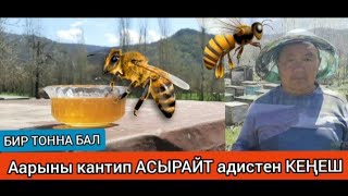 БИР ТОННА БАЛ!!! Бал аарыны кантип асырайт...