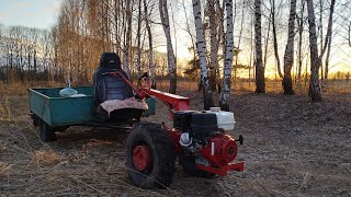 Выезд после зимы на мотоблоке мтз 🚜