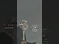 علي باوزير عاد شي وسيله بتنقذ فوادي 