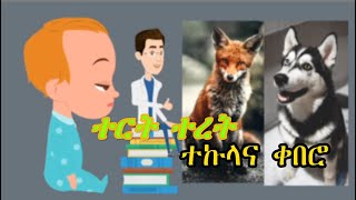 Teret teret amharic ተርት ተረት  ተኩላና ቀበሮ