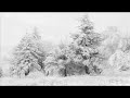 Русские Народные Песни - Ой снег снежок