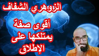 الزوهري الشفاف أقوى صفة يمتلها على الإطلاق