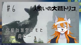 【人喰いの大鷲トリコ】可愛いヨツケモと一緒に謎解きをしよう！#6