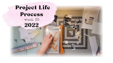 Project Life Process Video for week 25 - 2022