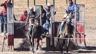 Donkey Racing in the Sierra Region of Durango Donkey Racing in the Sierra Region of Durango