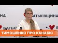 Тимошенко розкритикувала питання про легалізацію канабісу від Зеленського