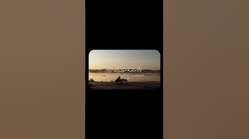 ﴿ وَأَنْ لَيْسَ لِلْإِنْسَانِ إِلَّا مَا سَعَى ﴾ | تلاوة خاشعة للشيخ محمد صديق المنشاوي