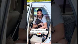Watch Dog’s Reaction When She Meets Her New Family 🥹❤️ #dog #rescue #adopt #love #family #shorts