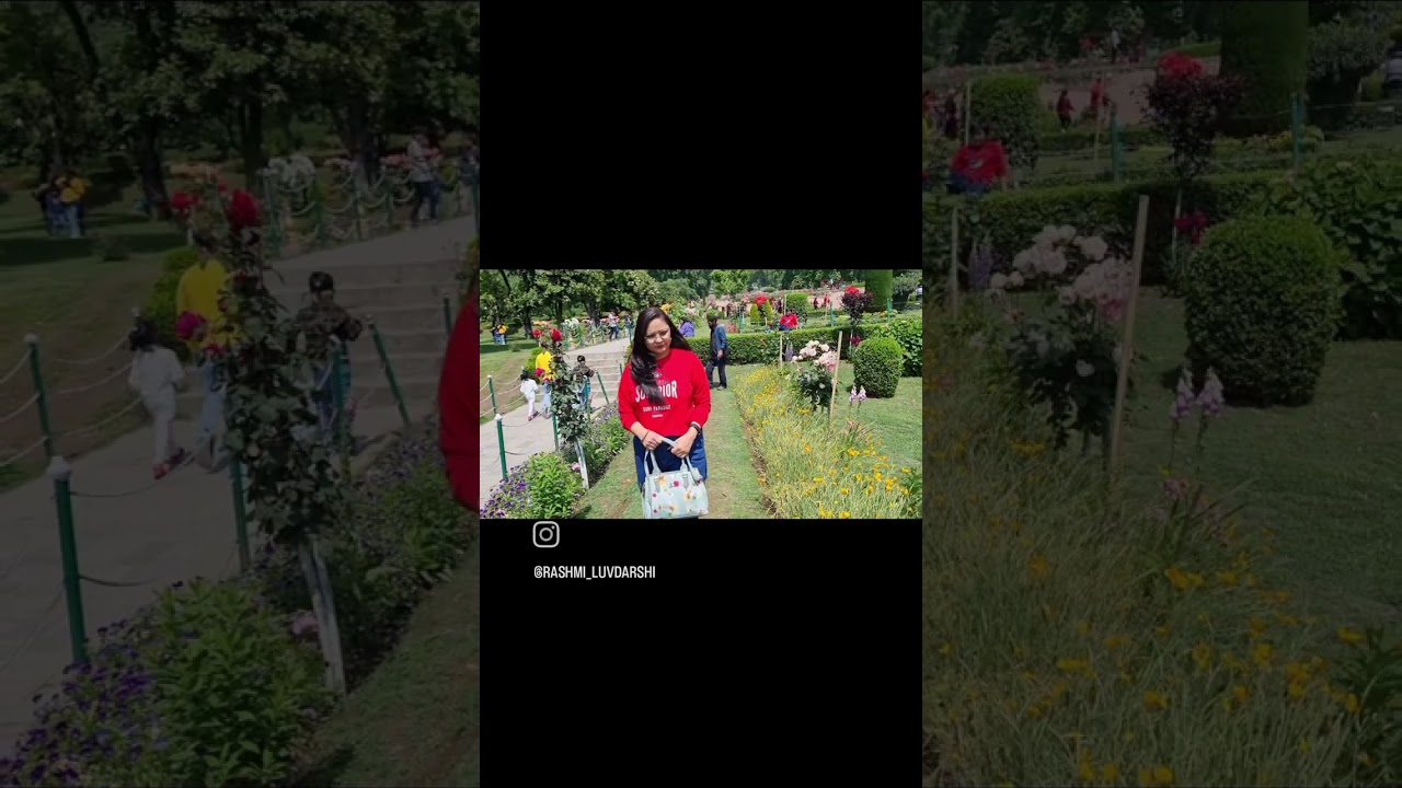 dekho Kitne khubsurat flowers h 💐..