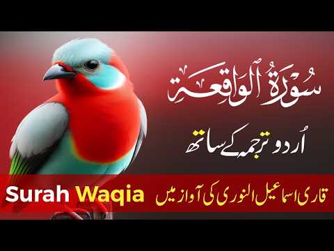 Surah Waqiah With Urdu Translation By Qari Ismail Annori | Urdu And Hindi Tarjuma