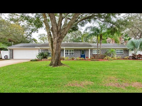 17323 LYNNETTE DRIVE, Lutz, FL home video tour