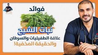 اسرار نبات الشيح/ مالم تعرفه من قبل وعلاج الديدان الاقوي/  قتل خلايا السرطان