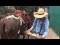 HOW SADDLING A MULE IS DIFFERENT FROM A HORSE