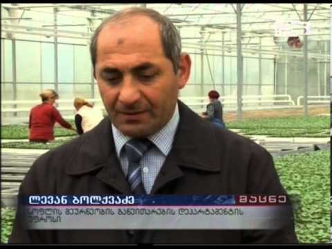 აჭარის მთავრობის თავმჯდომარემ საჩითილე მეურნეობა მოინახულა